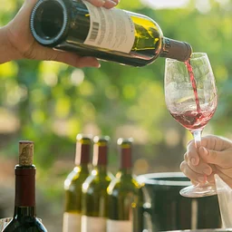 Foothill Wine Fest