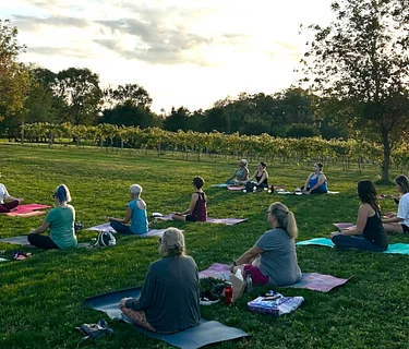 Yoga in the Vineyard