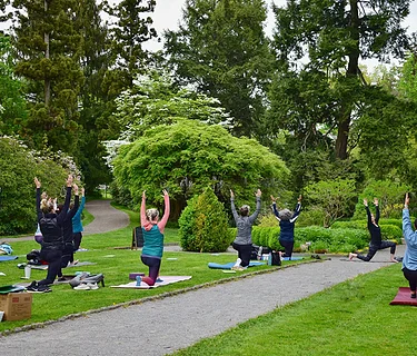 Yoga in the Garden