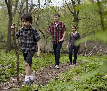 High Summer Nature Walk