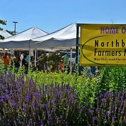 NBHS @ Northbrook Farmer’s Market