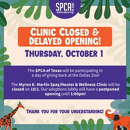 Adoption Lobby Delayed Opening + Clinic Closed – Zooday Birthday Bash