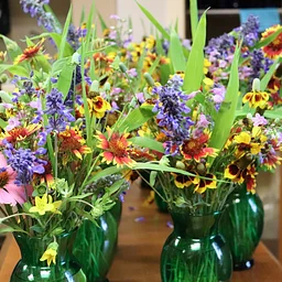 Floral Arrangements with Native Plants