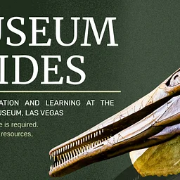 Museum Guide Workshop