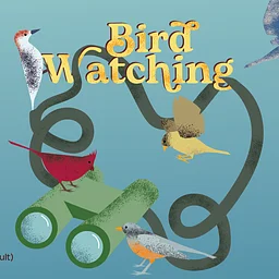 Bird Watching