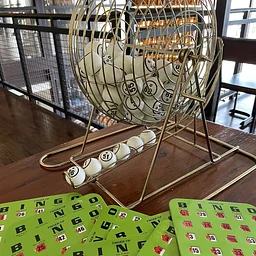 Family Bingo