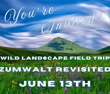 Field Trip: Wild Landscape – Zumwalt Revisited