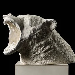 Sculpture Workshop & Multi-week Intensive (Ages 13-18)