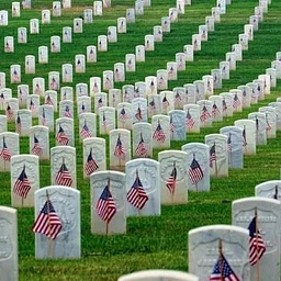 Memorial Day - All CEC Programs Closed
