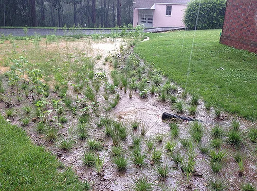 Water Management Systems for the Homeowner + Personalized Design Workshop