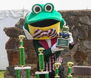 Barbeque Cook-Off / Sales