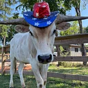 Family Farm Day: Fourth on the Farm