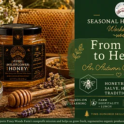 From Hive to Hearth 🐝🍂