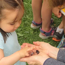 Invertebrate Investigation