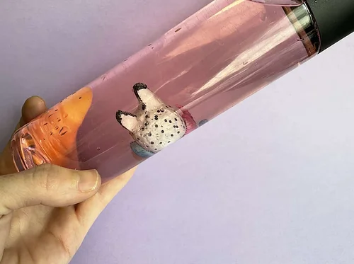 The Whaling Museum presents Sea Bunnies