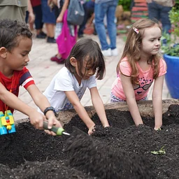 Family Planting Day
