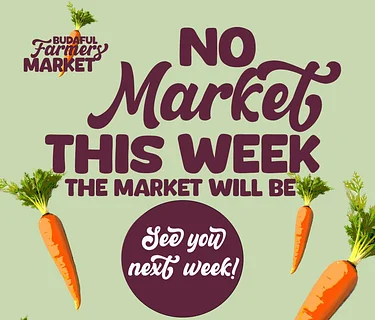 No market this week (temporary due to weiner dog races)