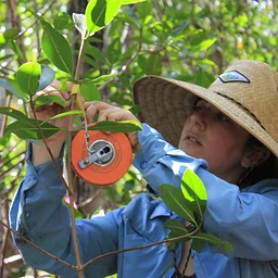 Public Seminar: Abigail Barenblitt – Applications of Remote Sensing for Indicators for Forest Integrity and Biodiversity