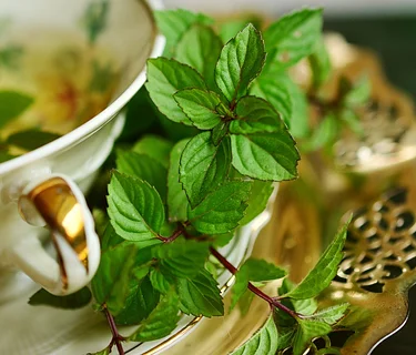 Cream Tea – SOLD OUT