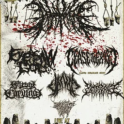 PEACEMAKER / EYESAWGOD / CEASE TO EXIST / VANTA NC / FLESH CARVING / KARNAGE / BUS STOP ABORTION
