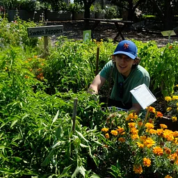 Urban Farm Volunteers