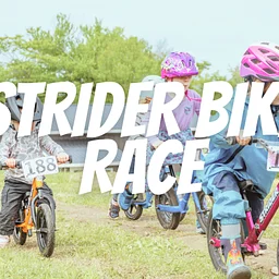 Strider Bike Race