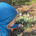 Nature Nook: Winter Session