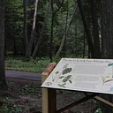 Botanical Wonders Walk