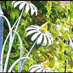 CT Flower & Garden Show 2027