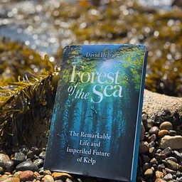 Book Signing: The Forest of the Sea with Author David Helvarg