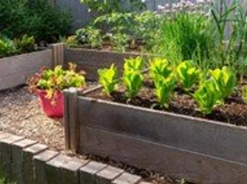 Hügelkultur Beds: The Best Raised Beds for Your Garden.