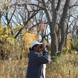 Bird Walk