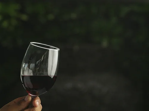 Wine Wednesday: Malbec