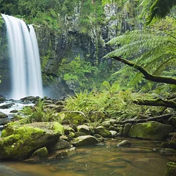 Presentation- Saving the Amazon Rainforest: A Historical Perspective Presented by Daniel Weiland