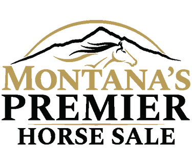 Big Sky Events Arena: Montana’s Premier Horse Sale Preview