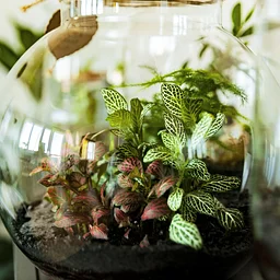Floral Design & Wine