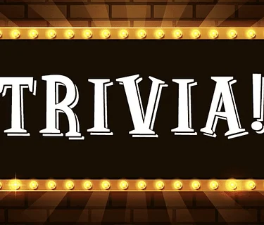 Trivia @ Hamburg Inn #2