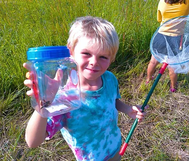 Sunfish Explorers: Bugology (Day 1 of 4)