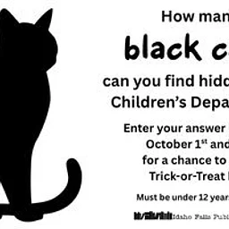 Find the Black Cats