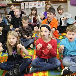 Am Sign Language 101 (2027)