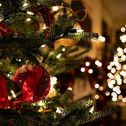 ABC Annual Christmas Party