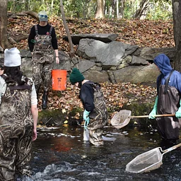Community Fish Sampling and Identification