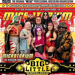 MICROWRESTLING