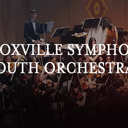 Youth Orchestra Fall Concert