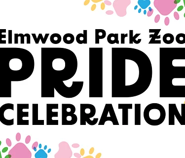 Pride Celebration