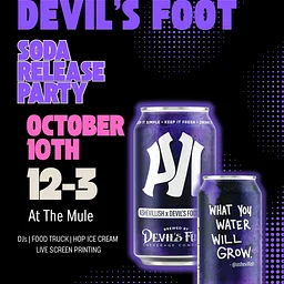 Ashevillish Collab Release Party