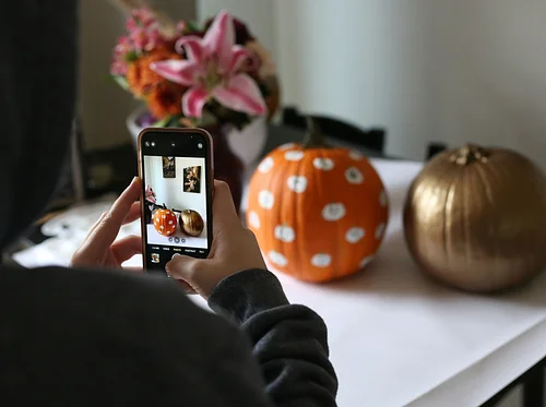 SheHive815 Yoga, Charcuterie, + Pumpkin Painting