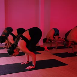 Arm Balance Durham