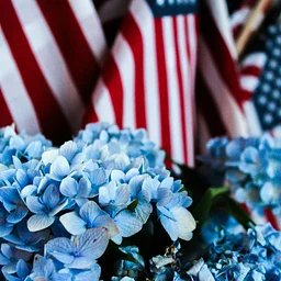 Celebrate 250 Years of American Independence with Bowne House