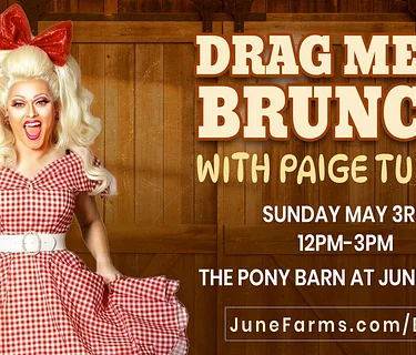 Drag Brunch with Paige Turner!